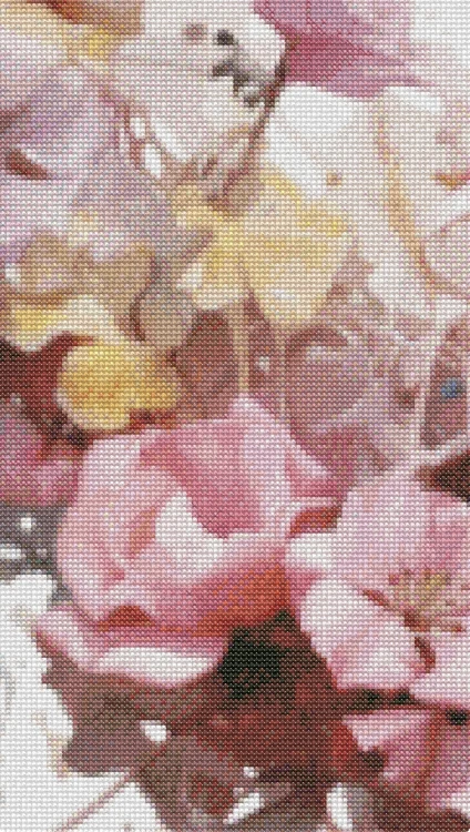 IMG_4066.PNG