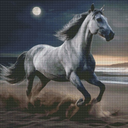 Horse by the moon.jpg