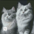 Soft Beige Minimalist Fashion Instagram Post_20230911_215713_0000.png