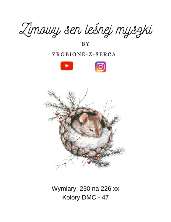 Pierwsza strona.jpg